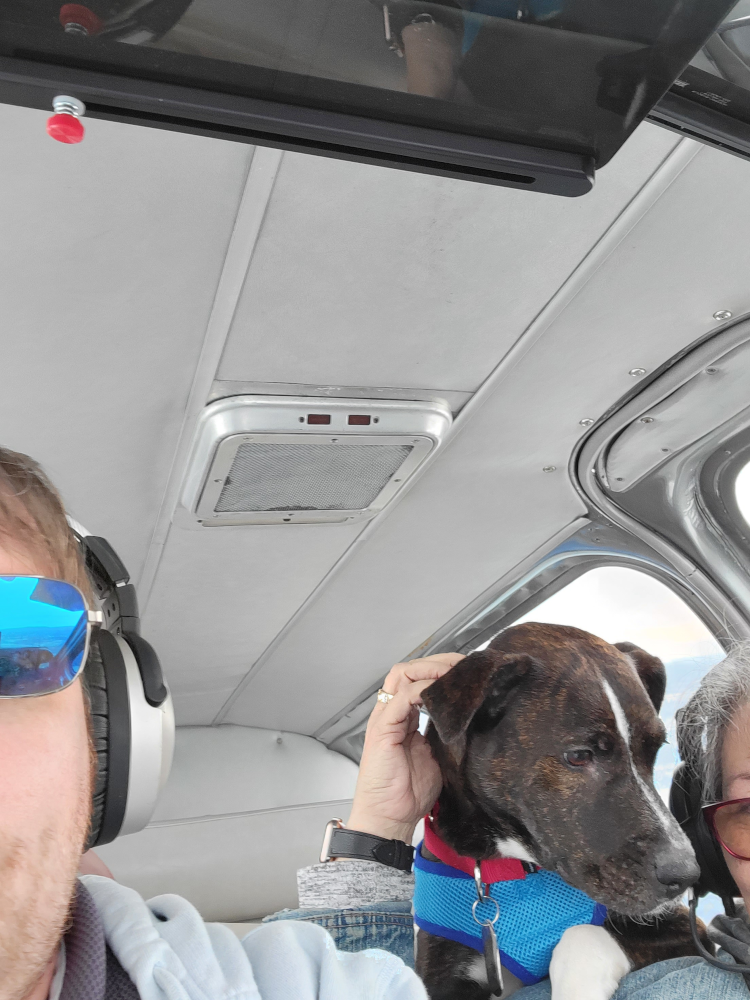 In-cruise-flight-daisy-wants-to-join-the-flight-crew