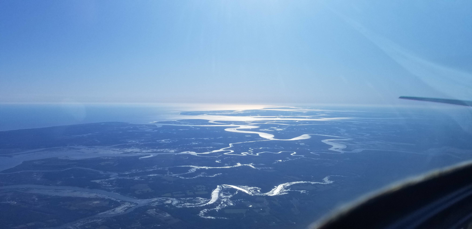 At-5500-Bear-Wildlife-Management-Islands-South-Carolina