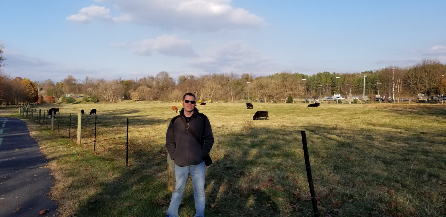 Shawn-with-the-cows-in-the-Luray-Town-Center-Town