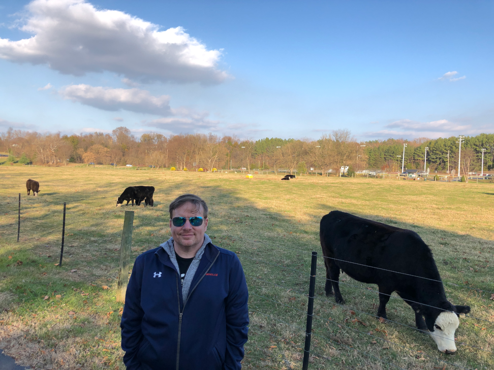 Zack-with-the-cows-in-the-town-center-Luray-VA