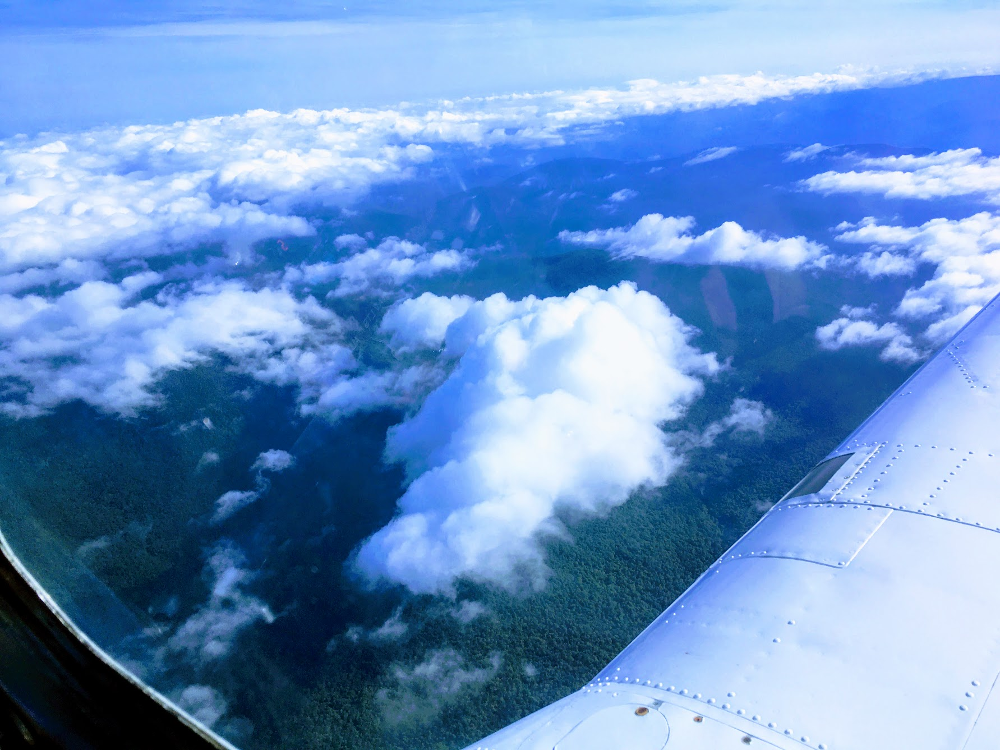 Flight Log Picture