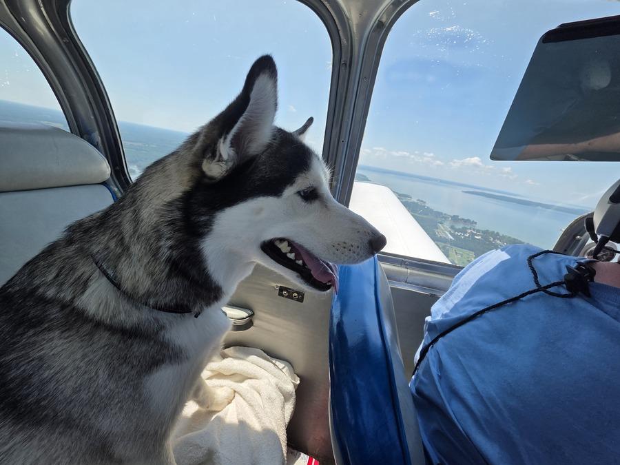 Jasper-watching-the-approach-he-s-the-best-CFI-Zack
